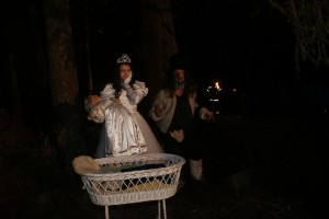 DSC07310        
